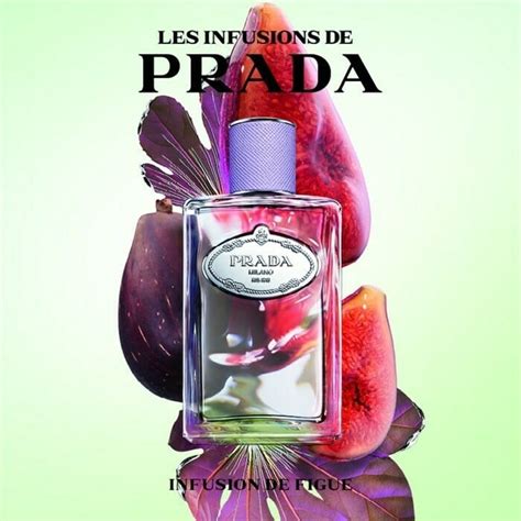 prada infusion de figue review|Prada infusion review.